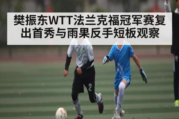 樊振东WTT法兰克福冠军赛复出首秀与雨果反手短板观察